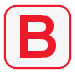 Berufsrechtsschutz