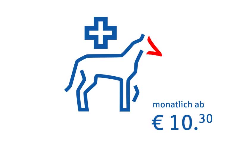 Krankenversicherung Fr Pferde Ja Oder Nein Clark