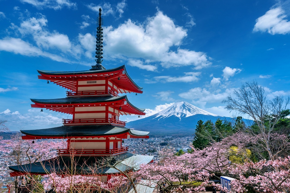 Pagode während der Kirschblüte in Japan vor dem Vulkan Fuji