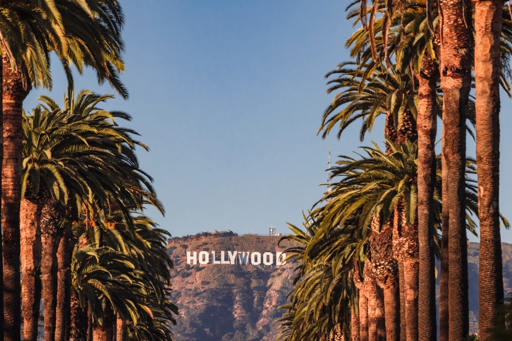 Palmen Straße in Los Angeles