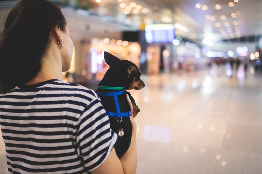 Frau mit Hund am Flughafen